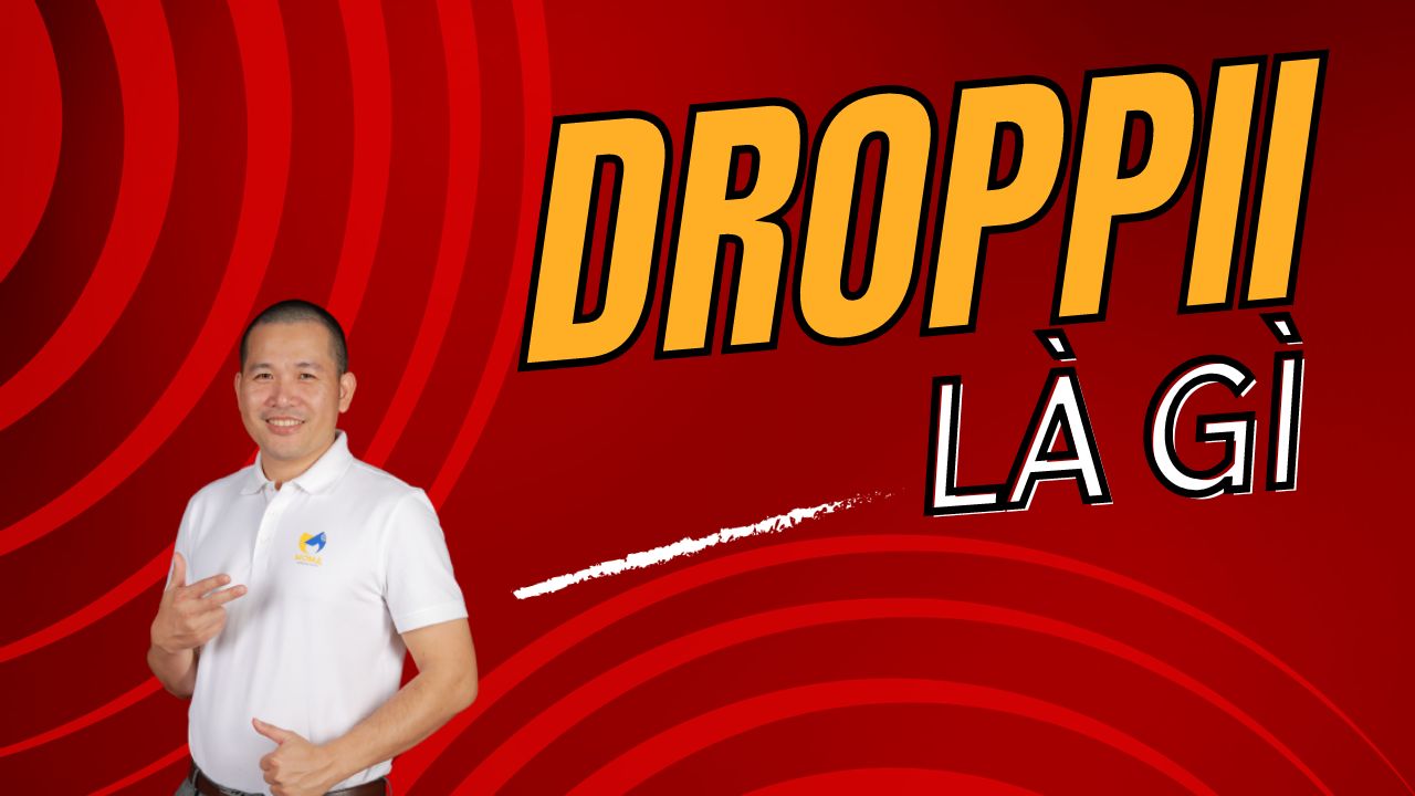 Droppii là gì? 6 cách để kinh doanh thành công với nền tảng moma marketing