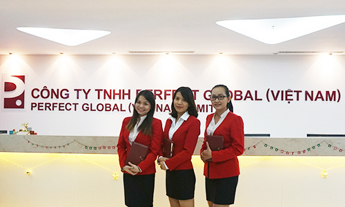 Công Ty TNHH Perfect Global (Việt Nam) Là Gì? Và 3 Cách Giúp Bạn Kinh Doanh Hiệu Quả Với MOMA Marketing