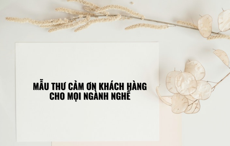 Mẫu Thư Cảm Ơn Khách Hàng Cho Mọi Ngành Nghề 2023